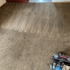 College-Carpet-Makeovers-in-Bloomington-Illinois 0